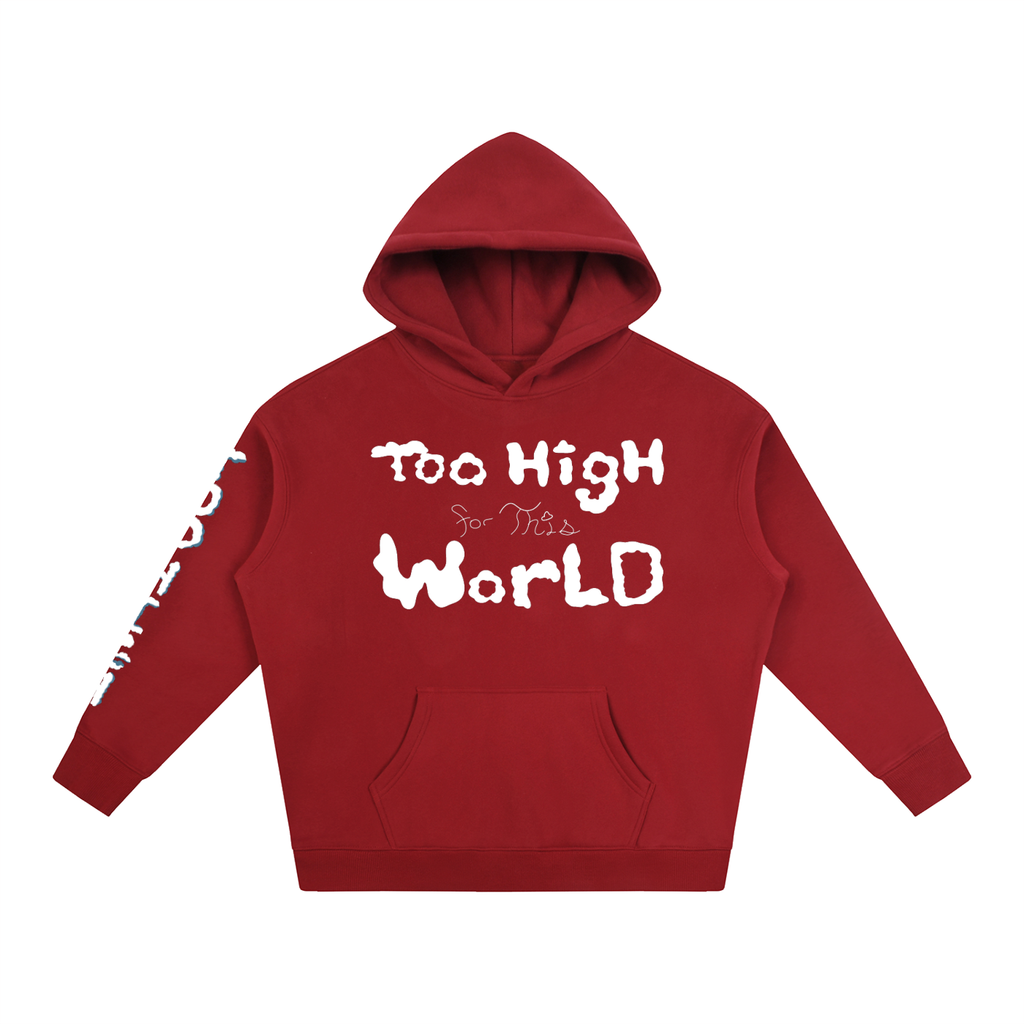 Too High for this World Hoodie