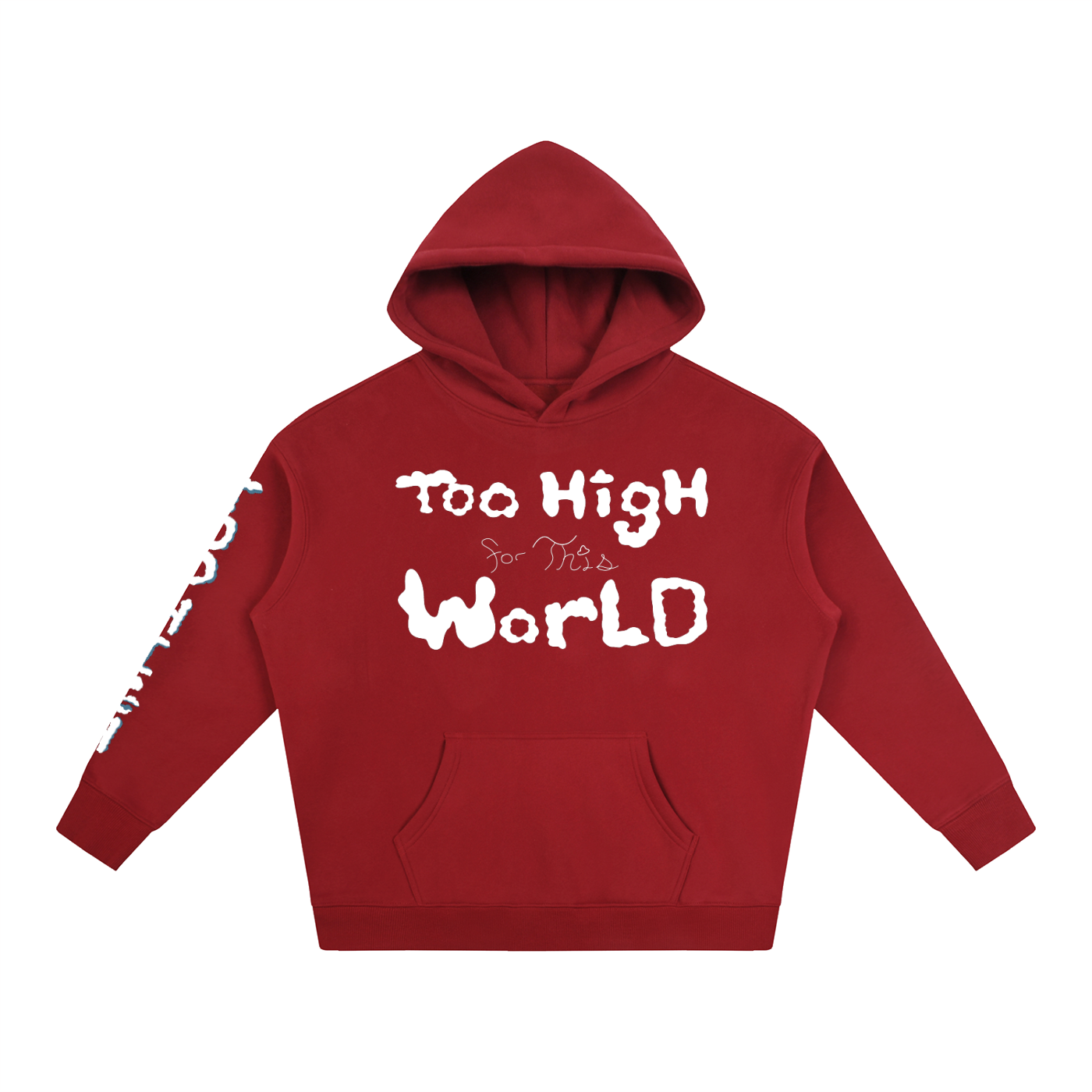 Too High for this World Hoodie